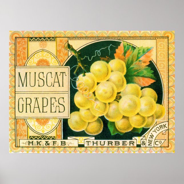 Vintage Fruit Crate Label Art, Muscat Grapes Poster (Front)