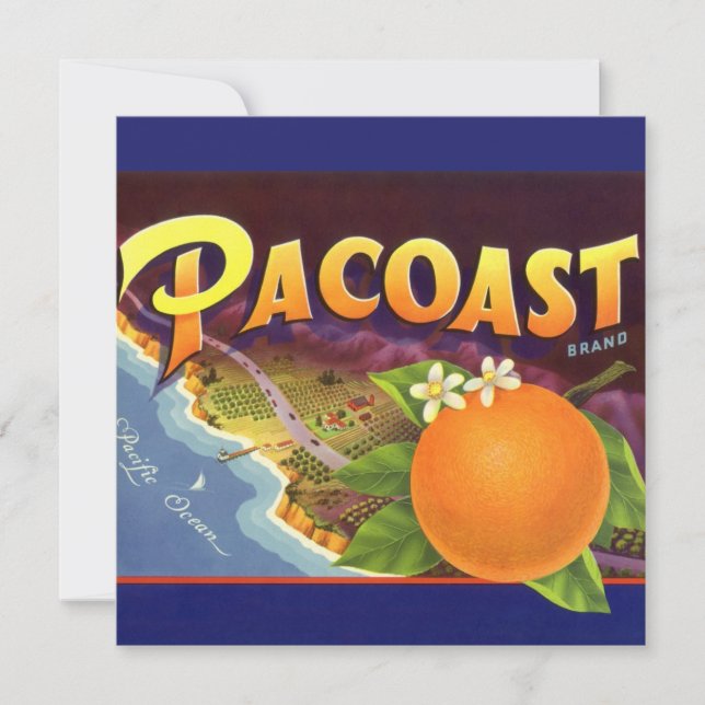 Vintage Fruit Crate Label Art, Pacoast Oranges (Front)