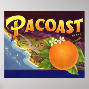 Vintage Fruit Crate Label Art, Pacoast Oranges Poster
