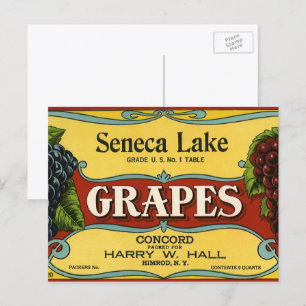 Vintage Fruit Crate Label Art, Seneca Lake Grapes Postcard