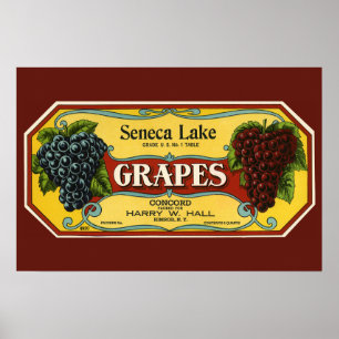 Vintage Fruit Crate Label Art, Seneca Lake Grapes Poster