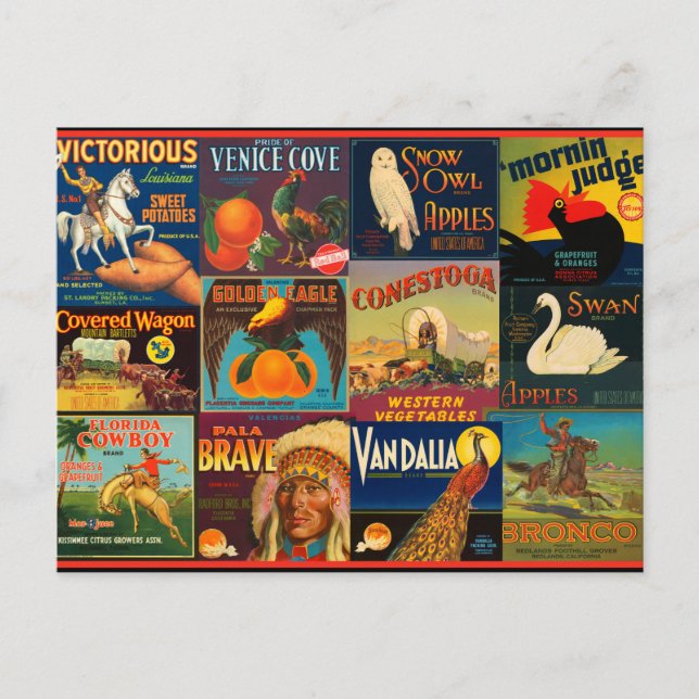 Vintage Fruit Crate Labels Postcard (Front)