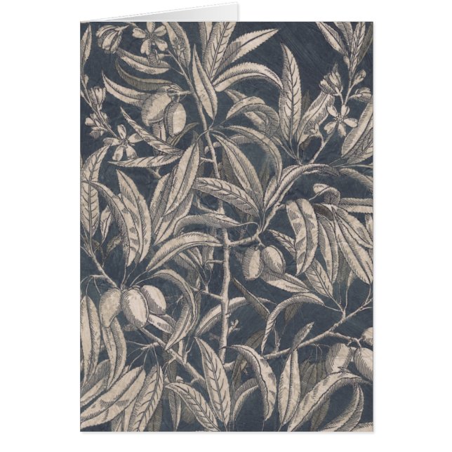 Vintage Fruit & Floral I (Front)