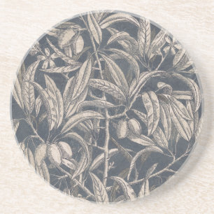 Vintage Fruit & Floral I Coaster