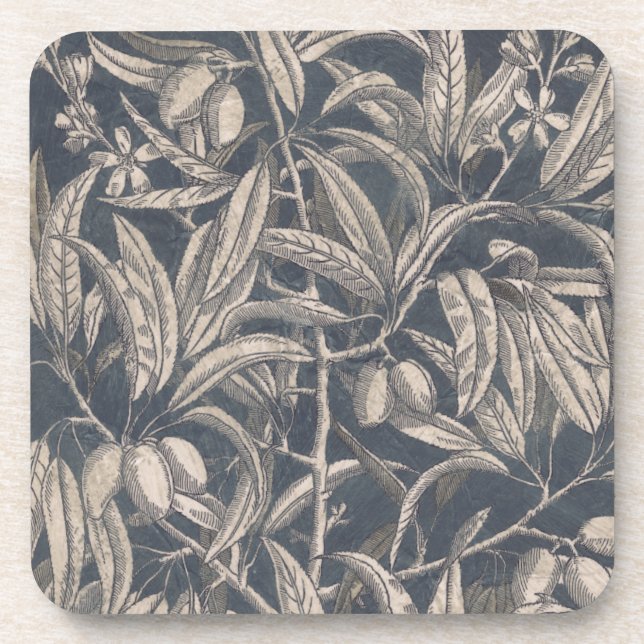 Vintage Fruit & Floral I Coaster (Front)