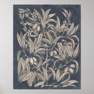 Vintage Fruit & Floral I Poster
