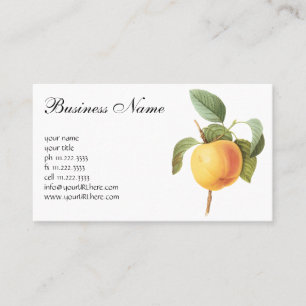 Vintage Fruit Food, Calville Apple by Redoute Business Card