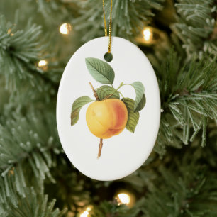 Vintage Fruit Food, Calville Apple by Redoute Ceramic Ornament