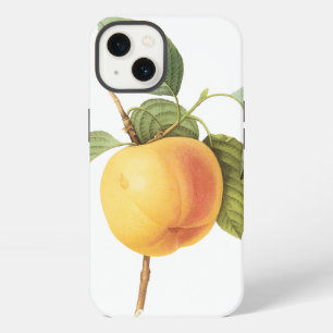 Vintage Fruit Food, Calville Apple by Redoute iPhone 13 Case