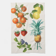 Vintage Fruit Illustrations