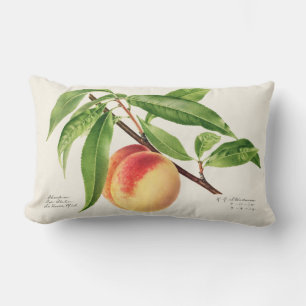 Vintage Fruit Lumbar Cushion