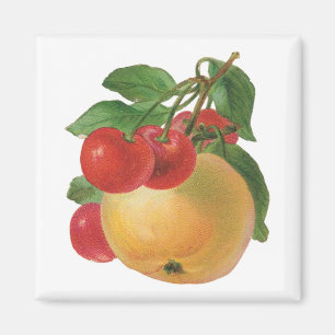 Vintage Fruit Magnet