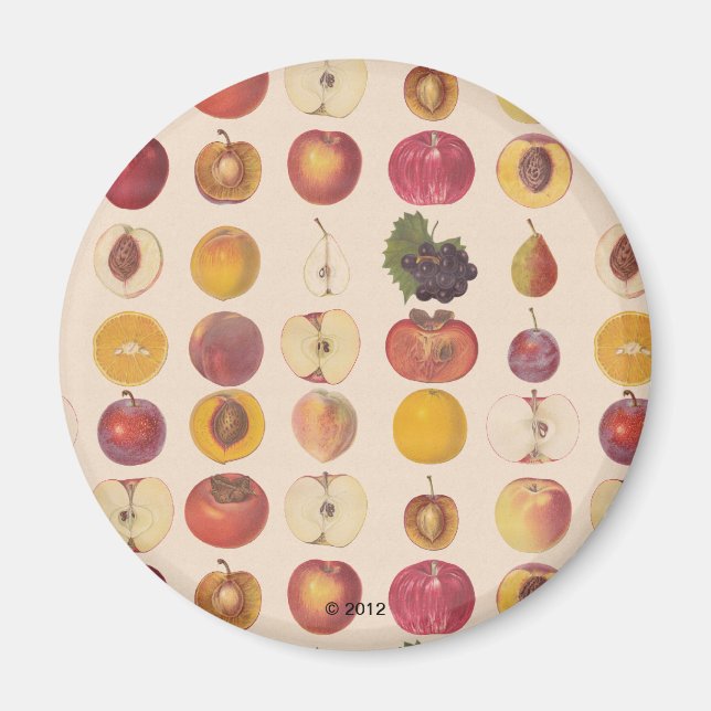 Vintage Fruit Pattern Magnet (Front)