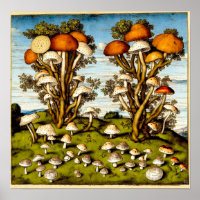 Vintage Fungi Art Print