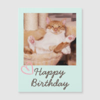 Vintage Funny Cat and Happy Birthday 