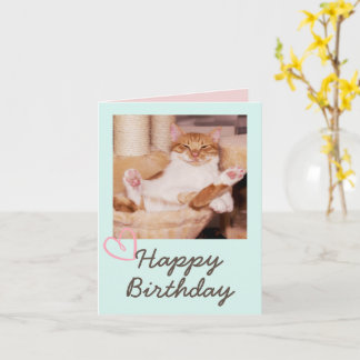 Vintage Funny Cat and Happy Birthday  Card