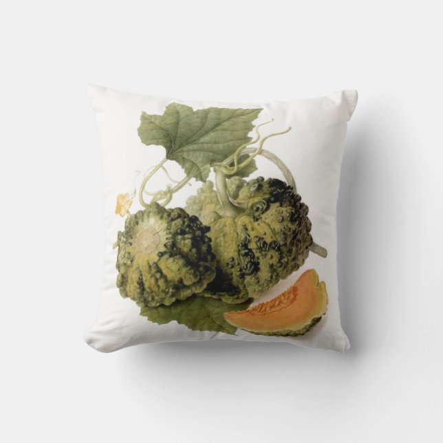 Vintage Garden Gourd & Vine Cushion (Front)