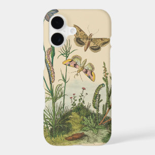 Vintage Garden Insects, Butterflies, Caterpillars