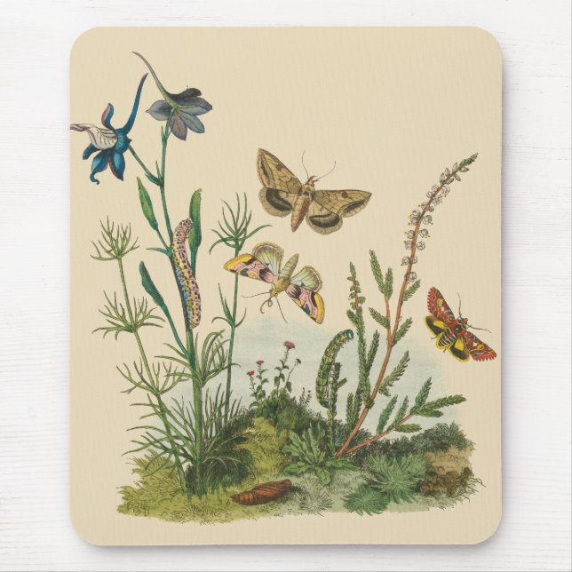 Vintage Garden Insects, Butterflies, Caterpillars Mouse Pad (Front)