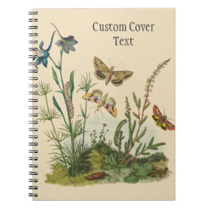 Vintage Garden Insects, Butterflies, Caterpillars Notebook