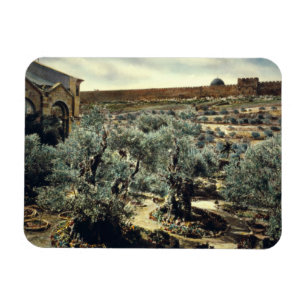 Vintage Garden of Gethsemane Jerusalem Israel Magnet