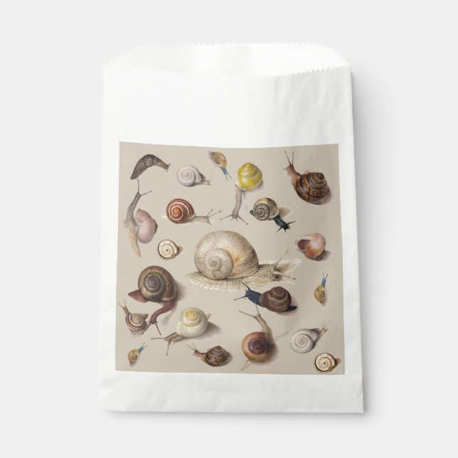 Vintage Garden Snails Scientific Illustration Favour Bag (Front)
