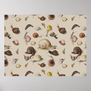 Vintage Garden Snails Scientific Illustration Poster