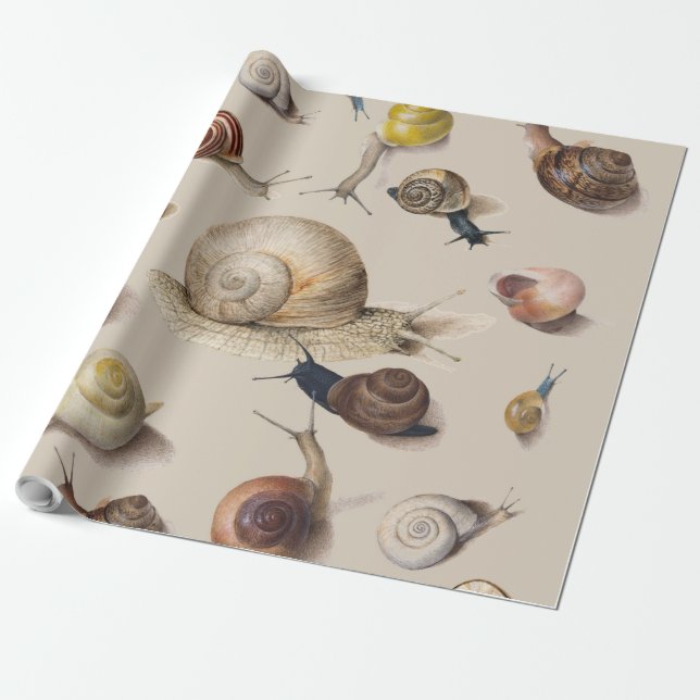 Vintage Garden Snails Scientific Illustration Wrapping Paper (Unrolled)