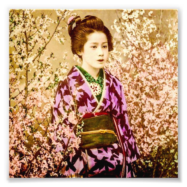 Vintage Geisha Posing in Cherry Blossoms Photo Print (Front)