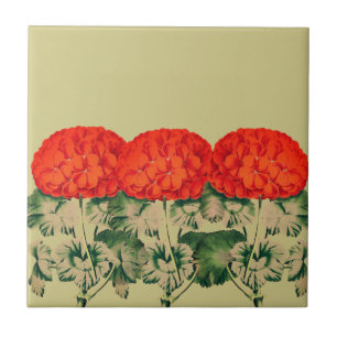 Vintage Geranium Trio - bold floral Ceramic Tile
