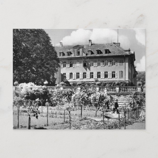 Vintage Germany Postcard (Front)