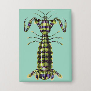Vintage Giant Mantis Shrimp Marine Art Print