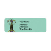 Vintage Giant Mantis Shrimp Marine Art Print