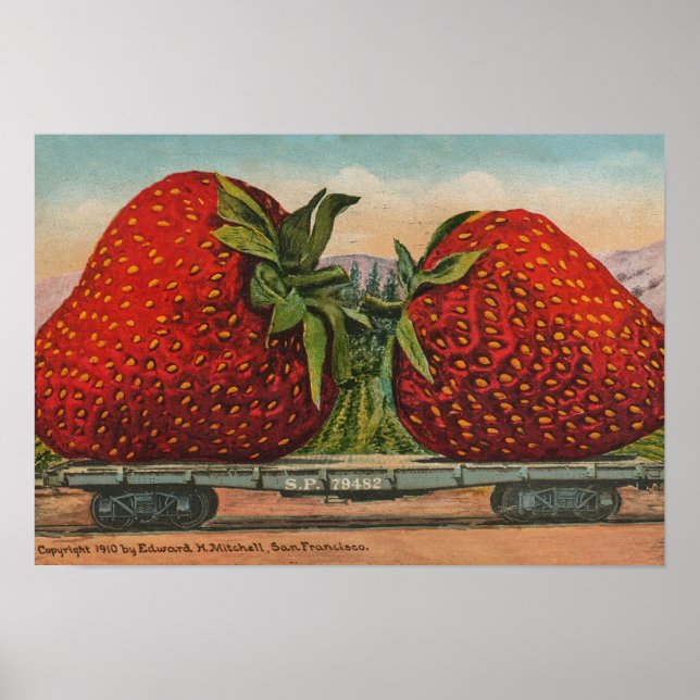 Vintage Giant Strawberries Poster (Front)