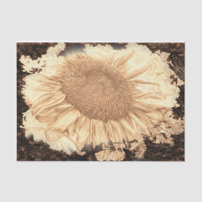 Vintage Giant Sunflowers Painted Rustic Vignette Tissue Paper (Front)