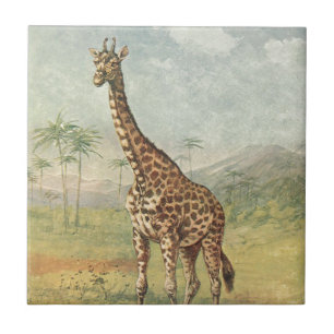 Vintage Giraffe Ceramic Tile