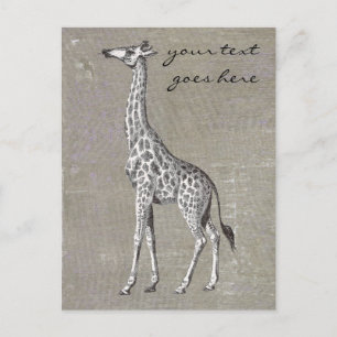 Vintage Giraffe Postcard
