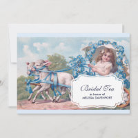 Vintage Girl in Carriage with Lambs Bridal Tea