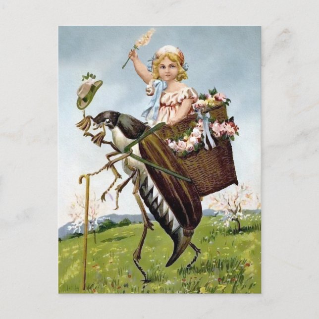 Vintage Girl Riding Insect Postcard (Front)