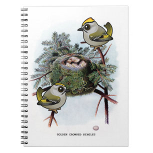 Vintage Golden-crowned Kinglet Notebook