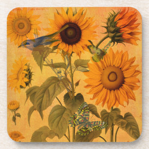 Vintage Golden Sunflower Collage Coaster