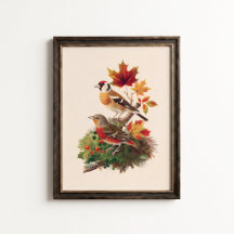Vintage Goldfinch Linnet Bird Wall Art Poster