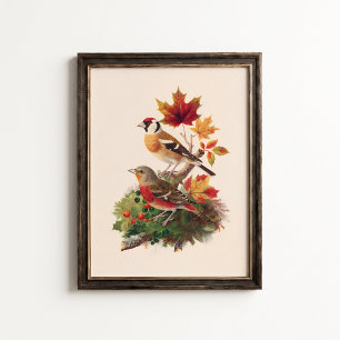 Vintage Goldfinch Linnet Bird Wall Art Poster