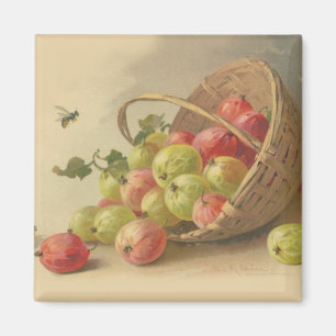 Vintage gooseberries magnet