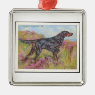 Vintage Gordon Setter  Cigarette Card Ornament