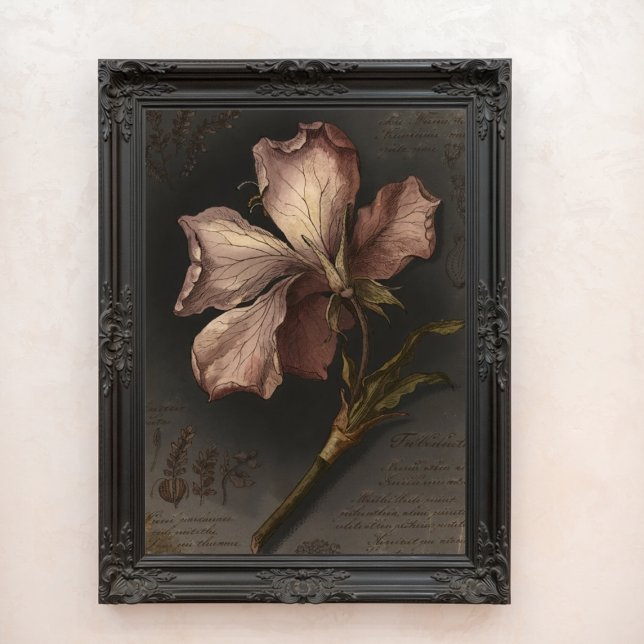 Vintage Gothic Botanical Flower Study Art Photo Print (Vintage Gothic Botanical Flower Study Art Photo Print)