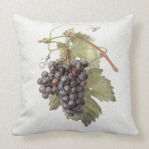 Vintage Grape Image Pillow