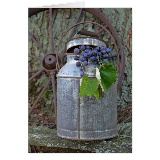 Vintage Grapes (Front)