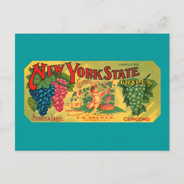 Vintage Grapes Crate Art Blank Postcard (Front)