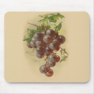 Vintage grapes mouse pad